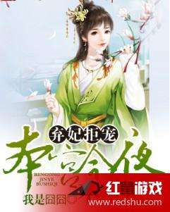 一夜弃妃，深度书评与最新反响探讨