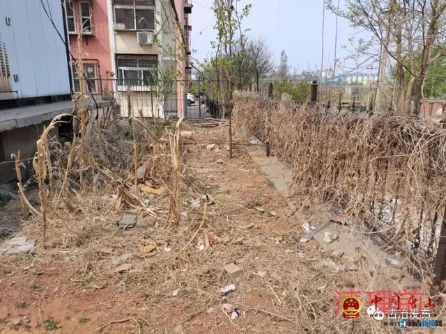 第1894页
