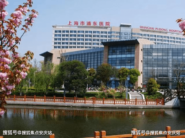 马陆包装城最新消息深度解析