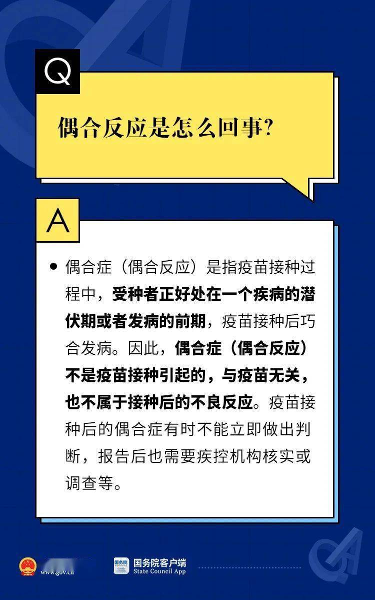 正版权威资料大全|精选解释解析落实