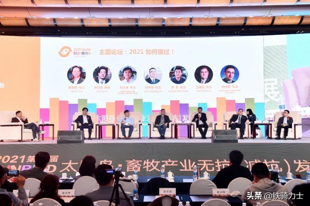 新奥特料免费资料查询|精选解释解析落实