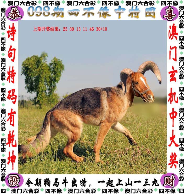 四不像正版 正版四不像凤凰|精选解释解析落实