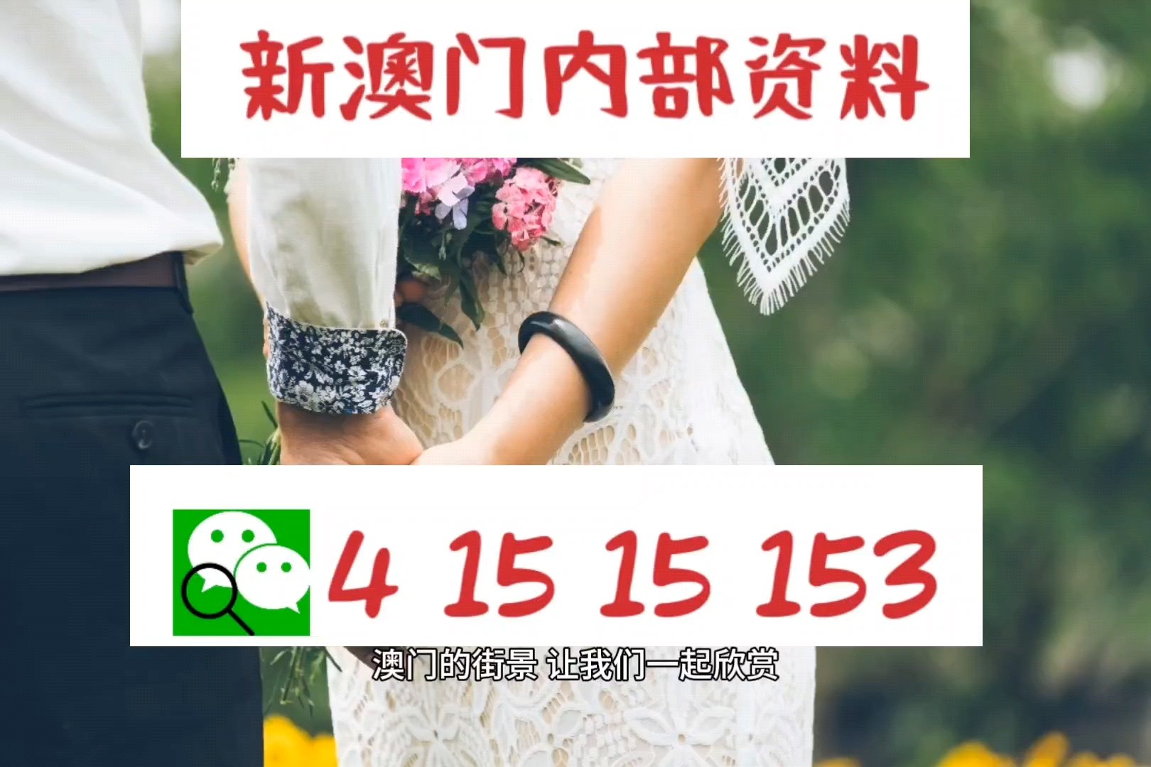 2024澳门精准正版免费|精选解释解析落实