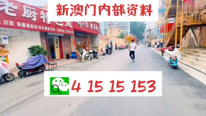 2024澳门天天开好彩大全4|精选解释解析落实