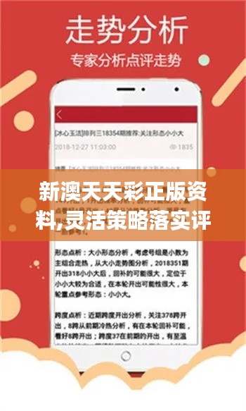 2024新奥天天资料免费大全|精选解释解析落实