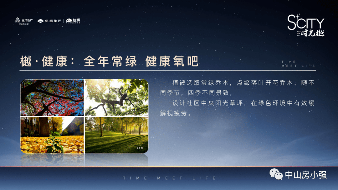 新澳天天开奖资料大全下载安装|精选解释解析落实
