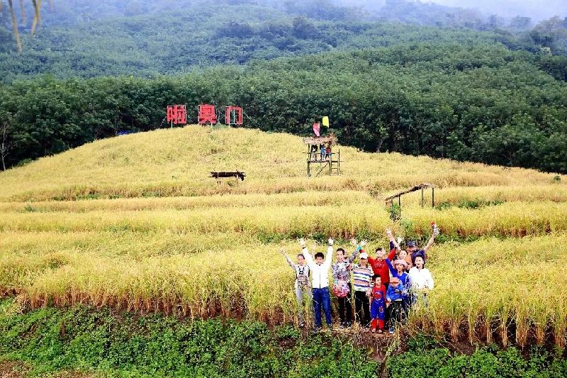 新奥门免费资料大全历史记录开马|精选解释解析落实