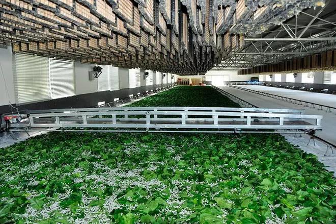 澳门最精准正最精准龙门蚕|精选解释解析落实