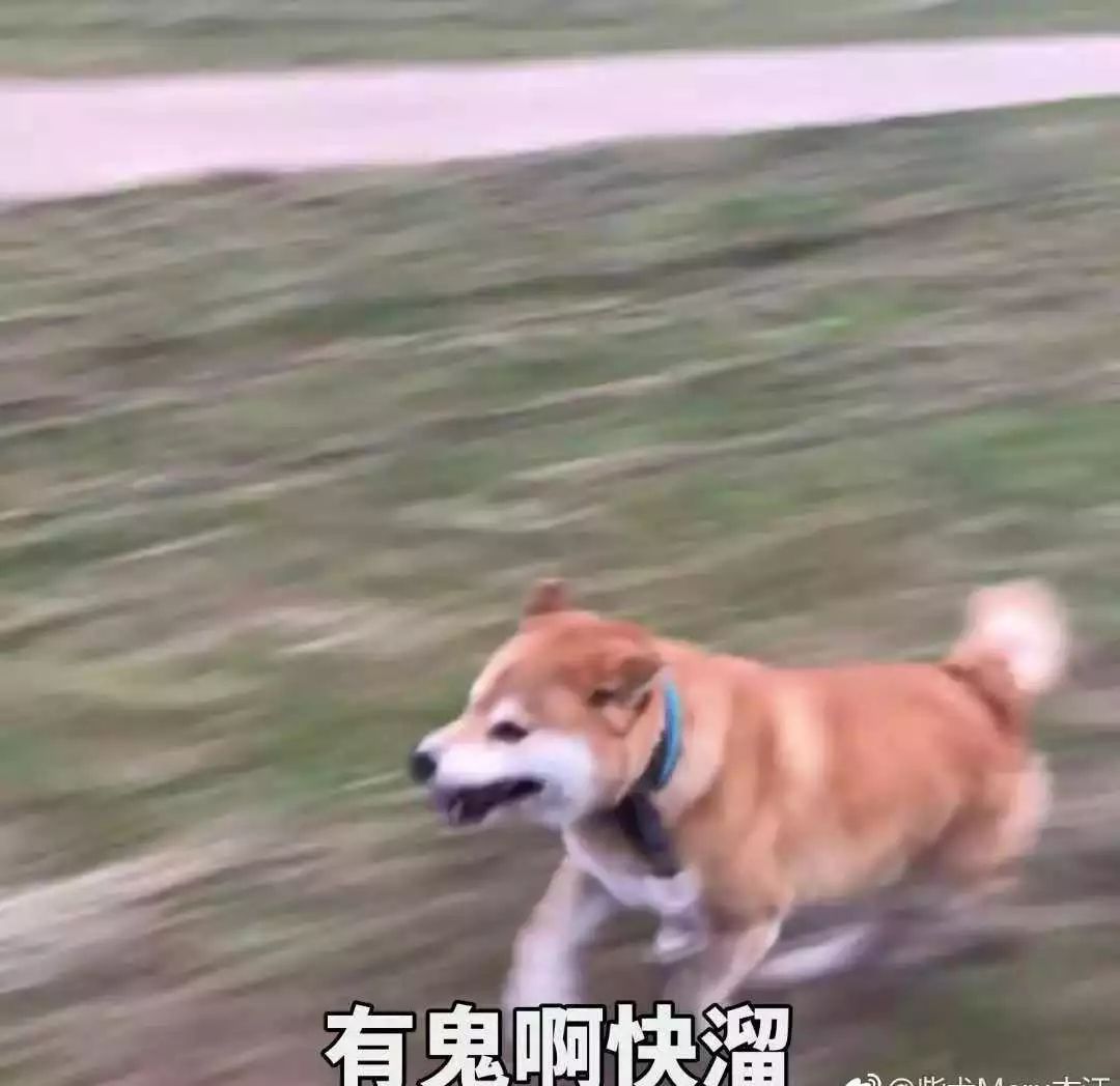 今晚必中四不像图 今天|精选解释解析落实