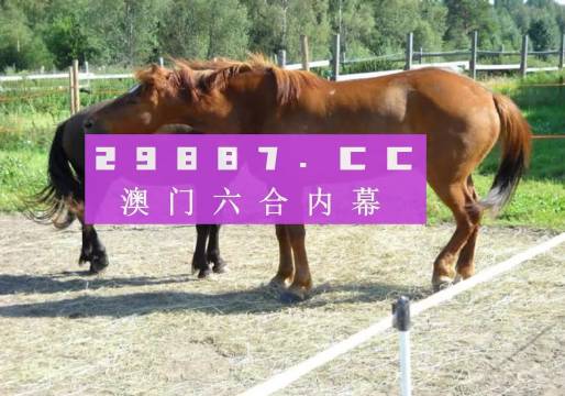 4949澳门特马今晚开奖53期|精选解释解析落实