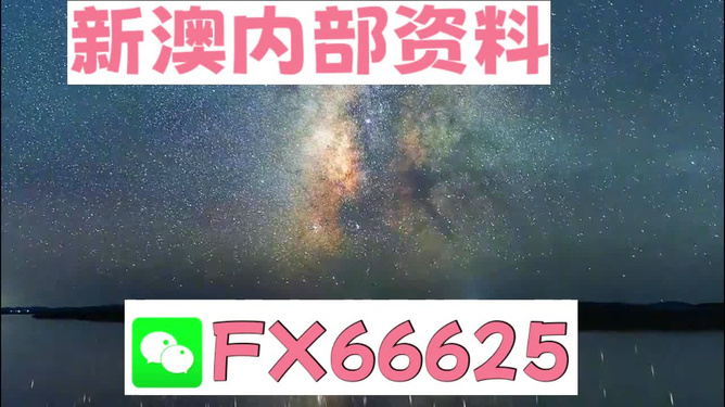 2024新澳天天资料免费大全|精选解释解析落实