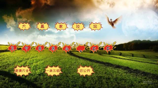 新澳门彩4949开奖记录|精选解释解析落实