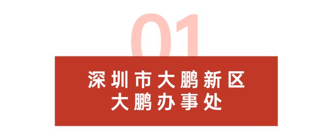 大鹏新区最新招聘信息