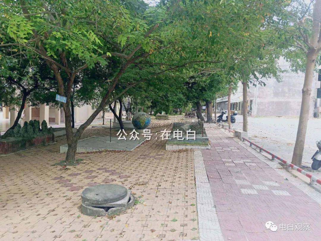 电白水东最新地皮信息