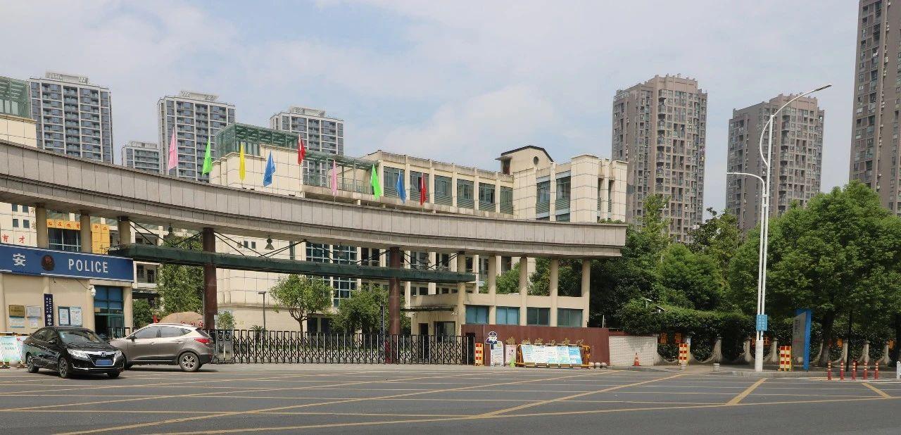 滨文中学最新消息