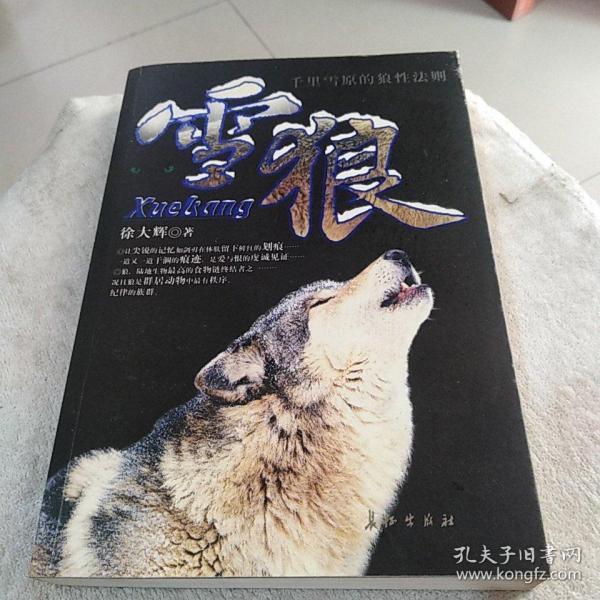 澳门资讯 第286页