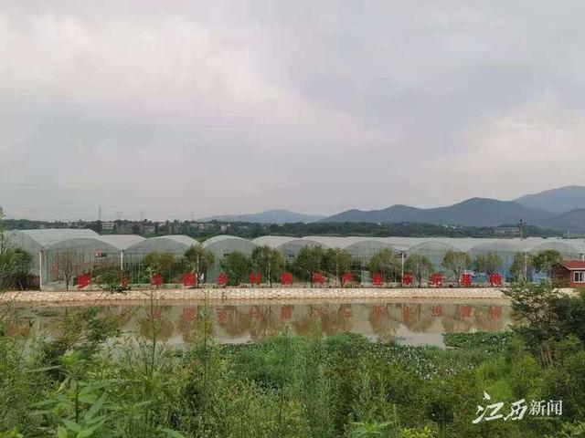 江西新建石岗最新新闻