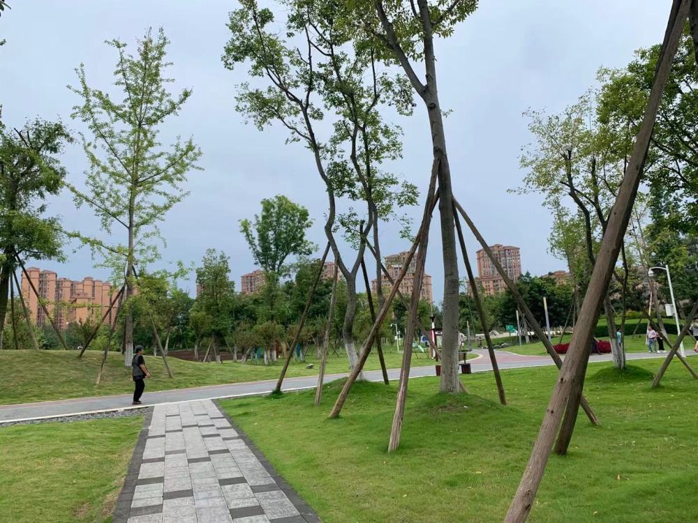 成华圣灯公园最新进展