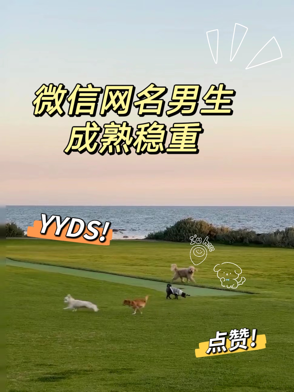 最新网名男生微信网名