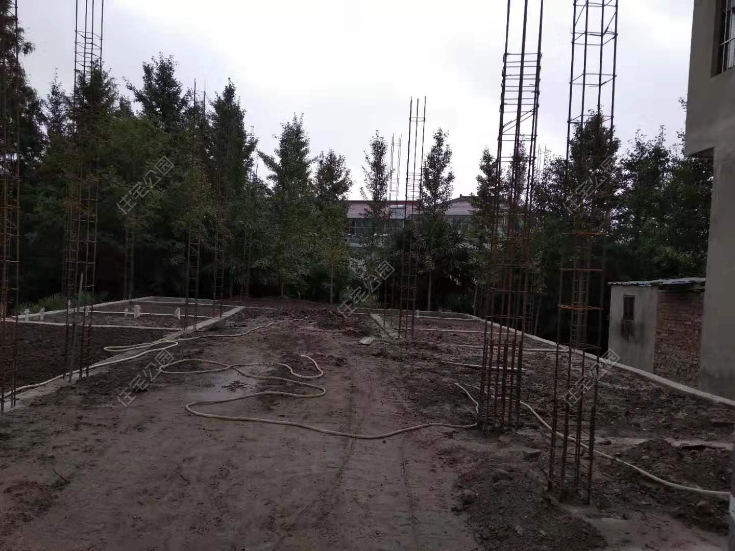顾先生离婚吧最新章节