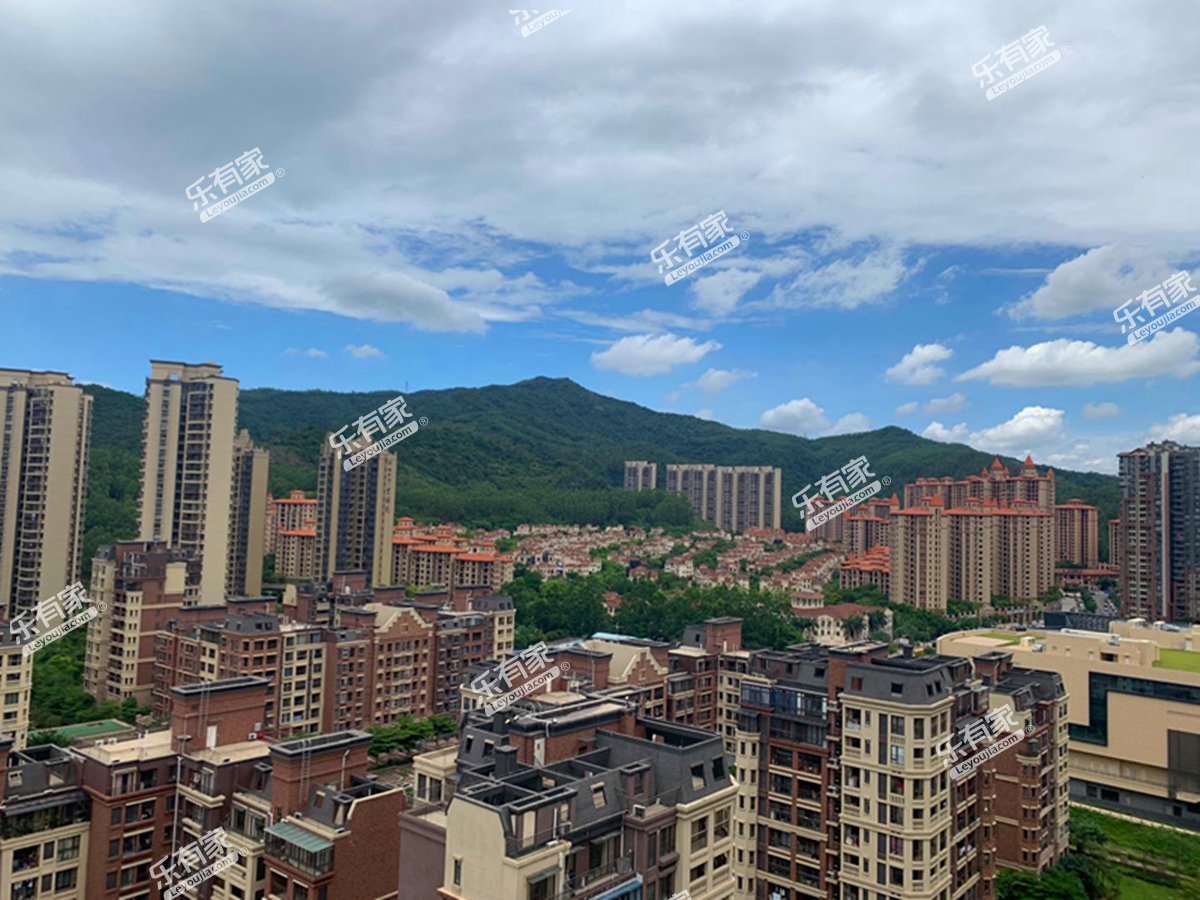 财经新闻 第246页