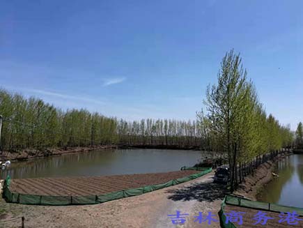 公主岭响水镇最新规化