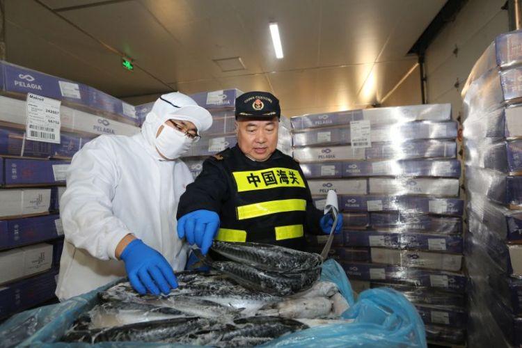 黄岛集装箱驾驶员最新招聘