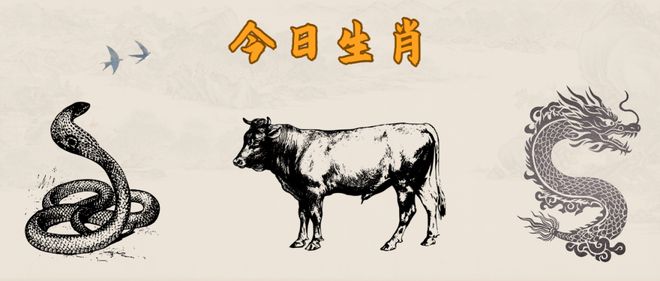 2024年正版四不像|精选资料解析大全