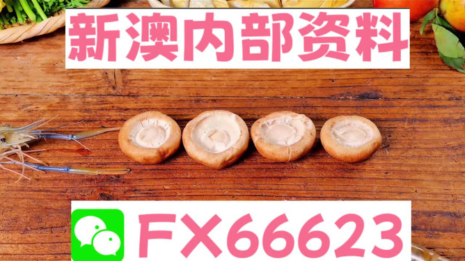新澳资料大全正版2024金算盘|精选资料解析大全