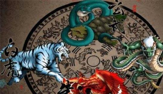 澳门白虎玄机精准玄武|精选资料解析大全
