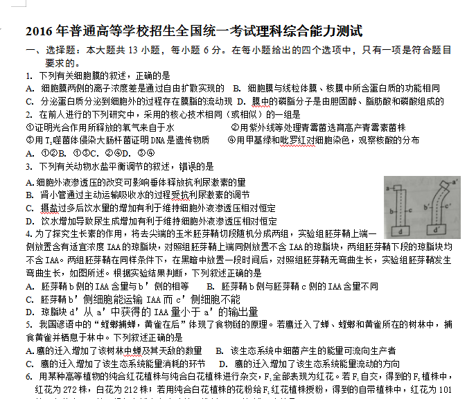 澳门精准一码投注攻略|精选资料解析大全