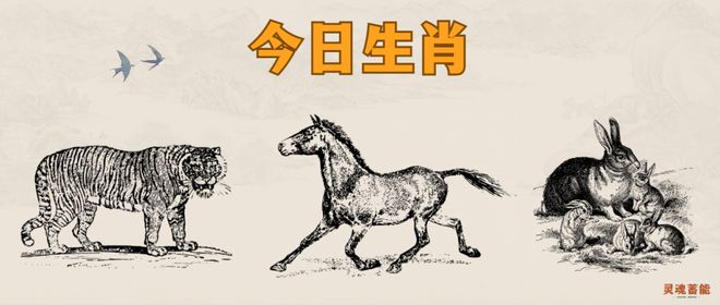 四不像正版资料2024年|精选资料解析大全