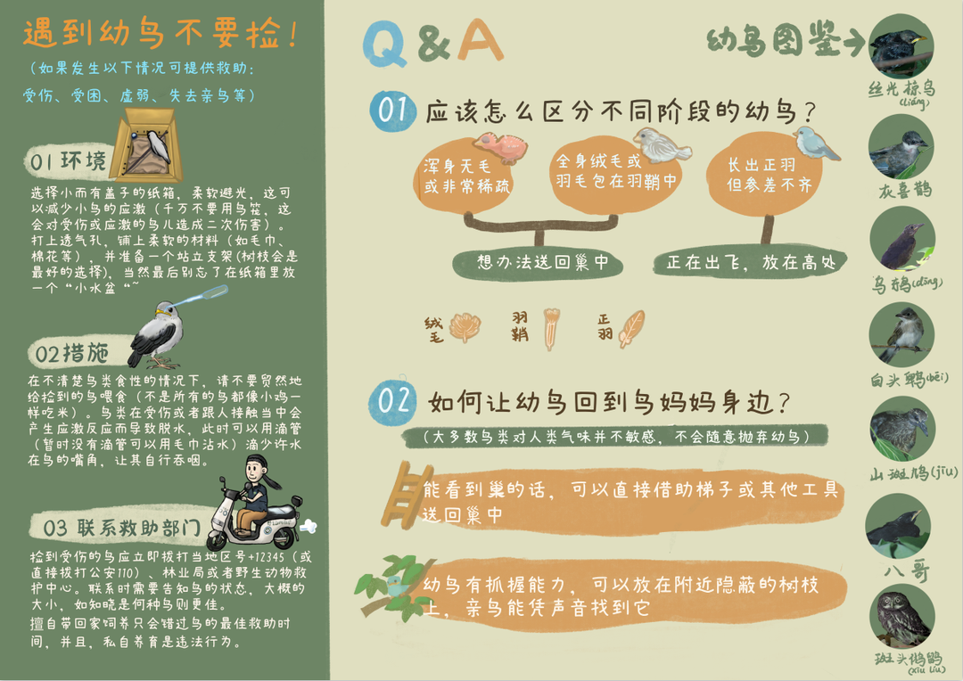 实现梦想 第186页