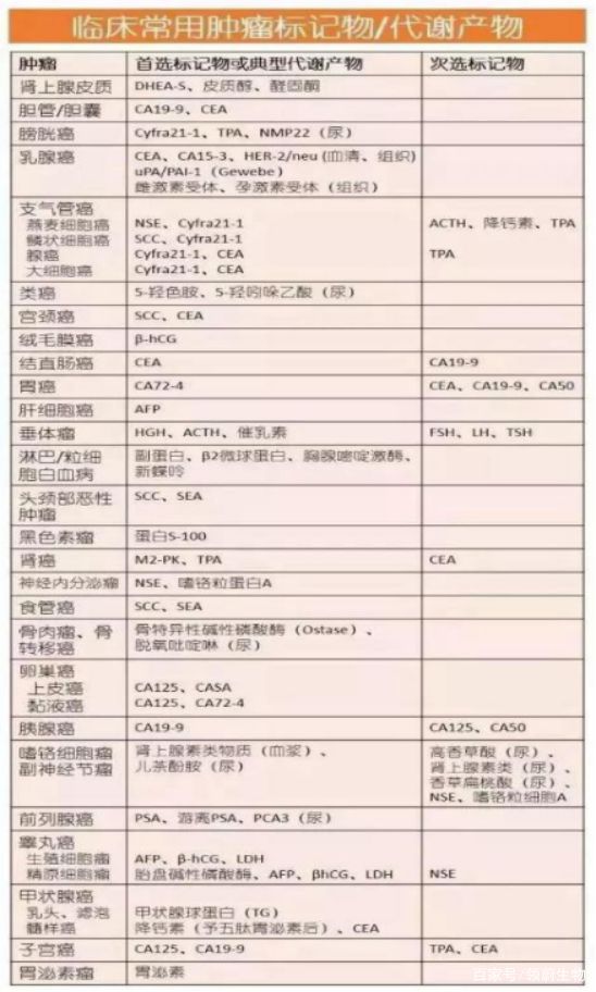 香港内部最准正版资料|精选资料解析大全