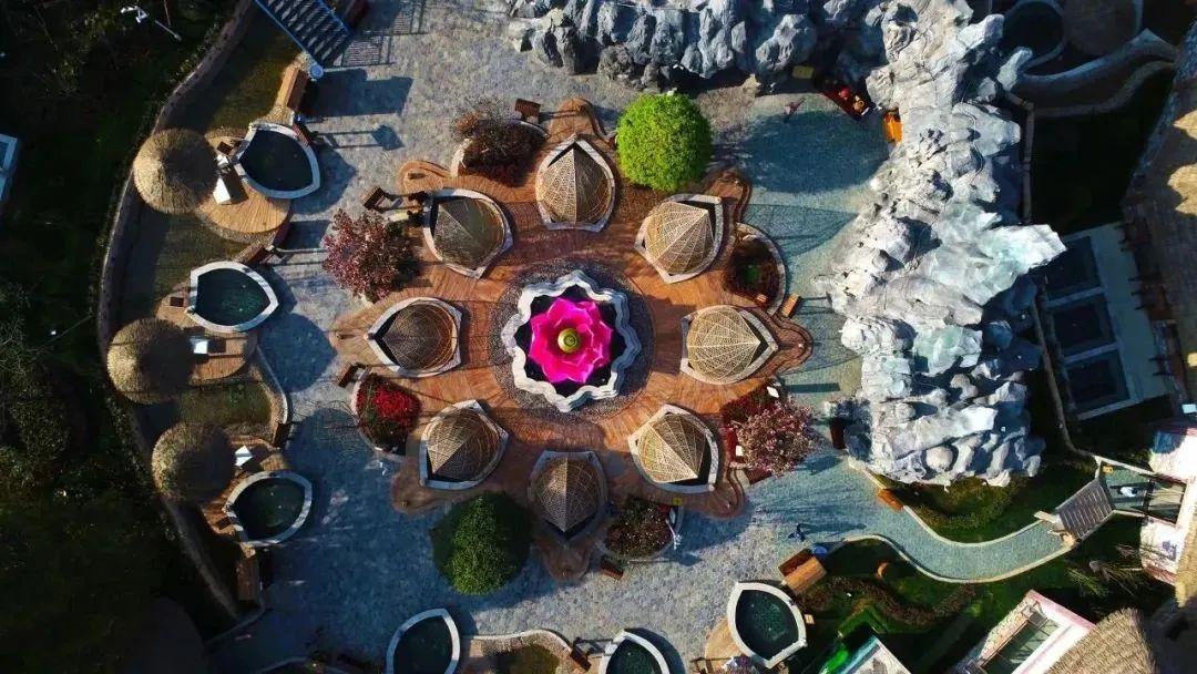 2024年新奥特开奖记录|精选资料解析大全