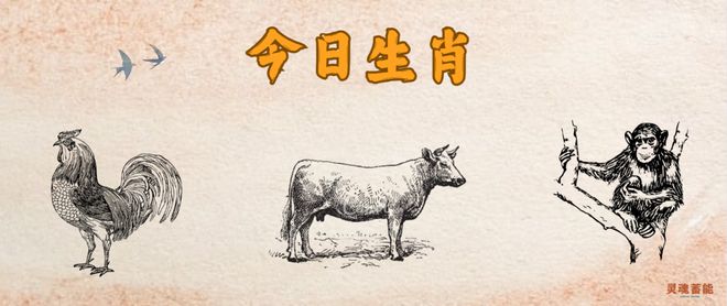 2024年正版四不像今晚|精选资料解析大全