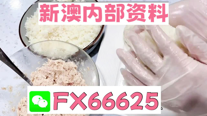 新澳门一码中精准一码免费中特|精选资料解析大全