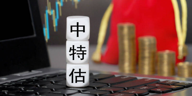 一码中中特,一码中中特，探索与理解