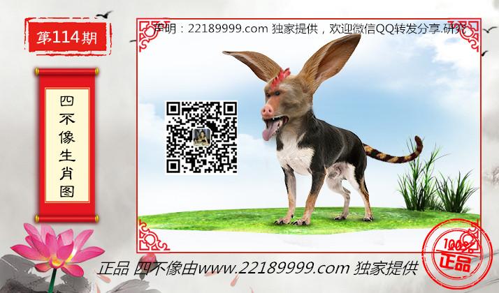 2025澳门四不像解析图,澳门四不像解析图，探索与解析