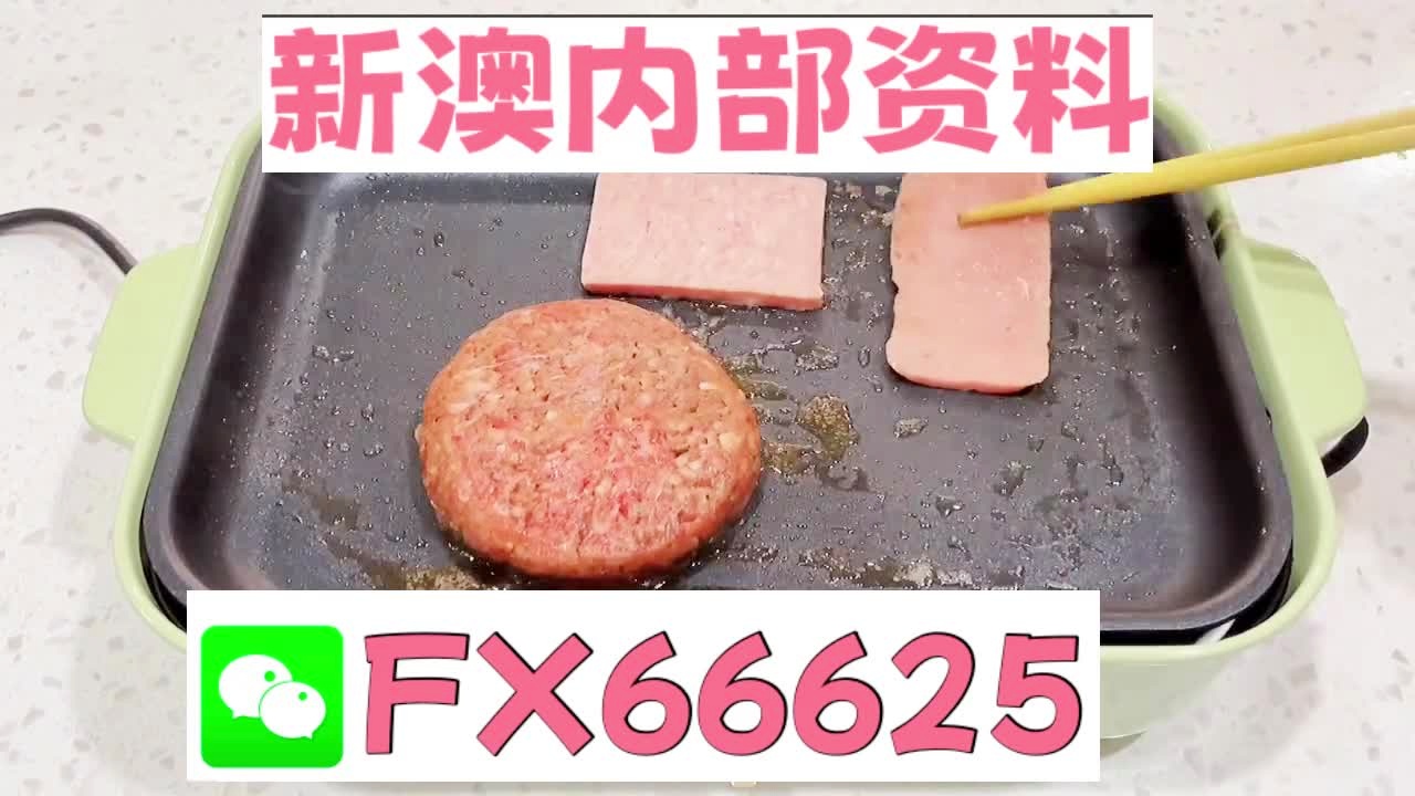 新澳门精准10码中特,新澳门精准10码中特，探索与解析