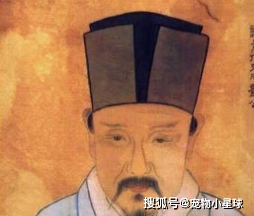 新澳门刘伯温网站,新澳门刘伯温网站，探索预测与文化的交汇点