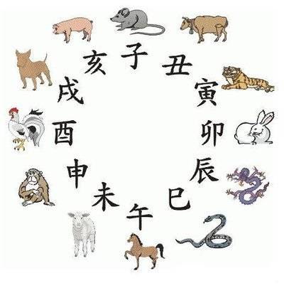2025今晚最准四不像,探索未知，今晚最准的四不像预测——走向未来的启示