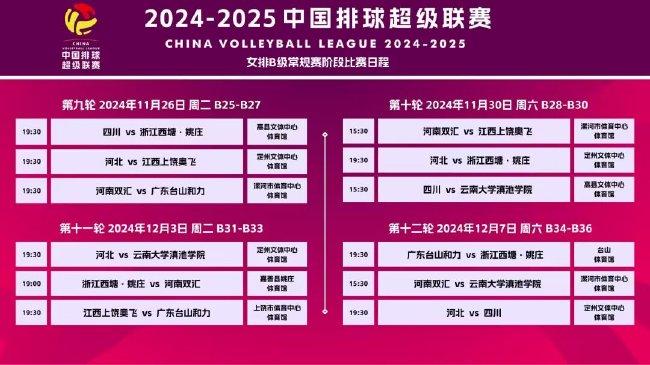 2025澳门全年正版资料免费大全,澳门正版资料免费大全，探索与期待2025年的未来展望