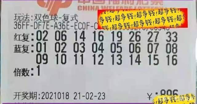 今晚澳门特马开什么号码,今晚澳门特马开什么号码——理性看待彩票，享受生活的乐趣