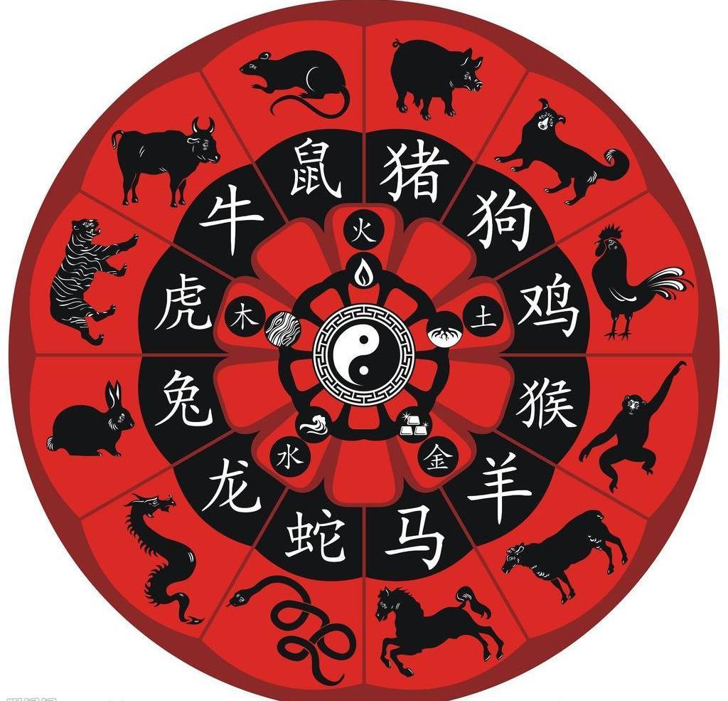 今晚买什么生肖最准确,今晚买什么生肖最准确，揭秘生肖运势与决策之道