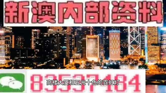 新澳内部期期精准,新澳内部期期精准，深度探究与前景展望