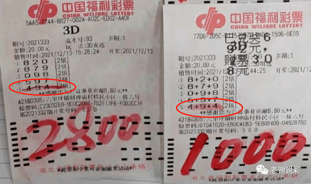 新奥门天天彩资料免费,新澳门天天彩资料免费，探索彩票的乐趣与责任