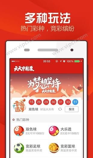 2025澳门天天开好彩正版资料大全,澳门正版资料大全，探索彩票文化的新篇章（2025年展望）