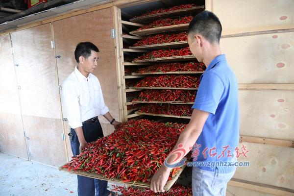 王中王100%的资料,王中王100%的资料详解