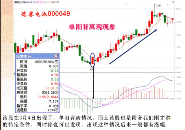 精准一肖100%免费,揭秘精准一肖，神奇的预测之旅与免费背后的真相